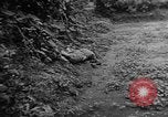 Image of French troops Indochina, 1947, second 25 stock footage video 65675045375