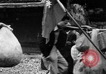 Image of liberated town Indochina, 1947, second 13 stock footage video 65675045376