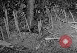 Image of liberated town Indochina, 1947, second 44 stock footage video 65675045376