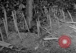 Image of liberated town Indochina, 1947, second 45 stock footage video 65675045376