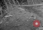 Image of liberated town Indochina, 1947, second 46 stock footage video 65675045376