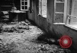 Image of liberated town Indochina, 1947, second 53 stock footage video 65675045376