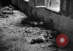 Image of liberated town Indochina, 1947, second 54 stock footage video 65675045376