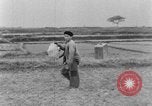 Image otages retour l'Indochine, 1951, de la seconde 28 séquences d'archives historiques vidéo 65675045377