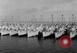 Immagine di Navi da guerra San Diego California USA, 1951, secondo 11 filmato di repertorio 65675045386