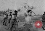 Image of United Nation forces Korea, 1951, second 31 stock footage video 65675045389