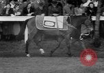 Image Nickel Coin remporte un Grand National britannique Steeplechase Aintree Angleterre, 1951, de la seconde 17 séquences d'archives historiques vidéo 65675045393