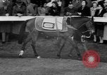 Image Nickel Coin remporte un Grand National britannique Steeplechase Aintree Angleterre, 1951, de la seconde 18 séquences d'archives historiques vidéo 65675045393