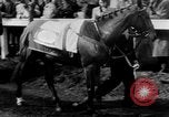 Image Nickel Coin remporte un Grand National britannique Steeplechase Aintree Angleterre, 1951, de la seconde 19 séquences d'archives historiques vidéo 65675045393