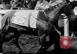 Image Nickel Coin remporte un Grand National britannique Steeplechase Aintree Angleterre, 1951, de la seconde 20 séquences d'archives historiques vidéo 65675045393