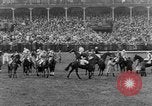 Image Nickel Coin remporte un Grand National britannique Steeplechase Aintree Angleterre, 1951, de la seconde 30 séquences d'archives historiques vidéo 65675045393