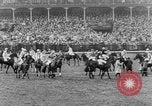 Image Nickel Coin remporte un Grand National britannique Steeplechase Aintree Angleterre, 1951, de la seconde 31 séquences d'archives historiques vidéo 65675045393