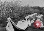 Standbild vierundzwanzigste Shenandoah Apple Festival Winchester Virginia USA, 1951, aus Sekunde 29 historischem Filmmaterial Videoclip 65675045397
