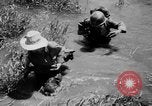 Immagine di Le truppe francesi Indocina, 1951, secondo 23 filmato di repertorio 65675045399