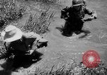 Immagine di Le truppe francesi Indocina, 1951, secondo 24 filmato di repertorio 65675045399