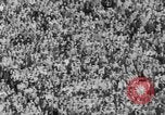 Standbild Fußballspiel United States USA, 1952, aus Sekunde 9 historischem Filmmaterial Videoclip 65675045409