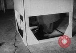 Image of elections Saarland Germany, 1952, second 43 stock footage video 65675045411