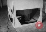 Image of elections Saarland Germany, 1952, second 44 stock footage video 65675045411