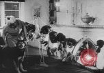 Image of German Shepherd pups Germany, 1952, second 12 stock footage video 65675045417