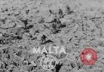 Image of Commando troops Malta, 1952, second 1 stock footage video 65675045426