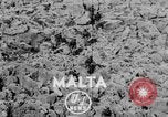 Image of Commando troops Malta, 1952, second 4 stock footage video 65675045426
