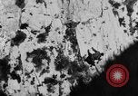 Image of Commando troops Malta, 1952, second 33 stock footage video 65675045426