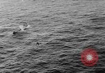 Immagine di Henrick Carlsen Oceano atlantico, 1952, secondo 23 filmato di repertorio 65675045429
