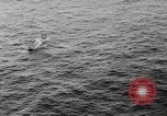 Immagine di Henrick Carlsen Oceano atlantico, 1952, secondo 35 filmato di repertorio 65675045429
