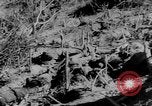 Image of French troops Vietnam French Indo China, 1952, second 61 stock footage video 65675045434