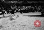 Image of 45th Millrose Games New York United States USA, 1952, second 25 stock footage video 65675045436