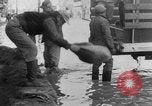 Standbild Zerstörung durch Hochwasser United States USA, 1952, aus Sekunde 22 historischem Filmmaterial Videoclip 65675045439
