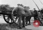 Image of French farmers France, 1953, second 13 stock footage video 65675045445