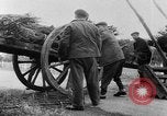 Image of French farmers France, 1953, second 14 stock footage video 65675045445