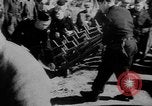 Image of French farmers France, 1953, second 38 stock footage video 65675045445
