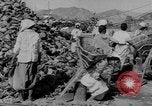 Standbild battlefield Bergung Korea, 1953, aus Sekunde 5 historischem Filmmaterial Videoclip 65675045457