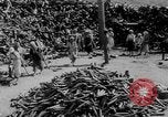 Standbild battlefield Bergung Korea, 1953, aus Sekunde 7 historischem Filmmaterial Videoclip 65675045457