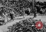 Standbild battlefield Bergung Korea, 1953, aus Sekunde 8 historischem Filmmaterial Videoclip 65675045457