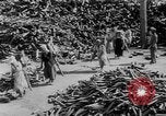 Standbild battlefield Bergung Korea, 1953, aus Sekunde 9 historischem Filmmaterial Videoclip 65675045457