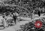 Standbild battlefield Bergung Korea, 1953, aus Sekunde 10 historischem Filmmaterial Videoclip 65675045457
