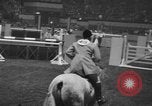 Image National Horse Show New York United States USA, 1953, de la seconde 18 séquences d'archives historiques vidéo 65675045459