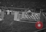 Image National Horse Show New York United States USA, 1953, de la seconde 21 séquences d'archives historiques vidéo 65675045459