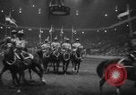 Image National Horse Show New York United States USA, 1953, de la seconde 45 séquences d'archives historiques vidéo 65675045459