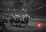 Image National Horse Show New York United States USA, 1953, de la seconde 47 séquences d'archives historiques vidéo 65675045459