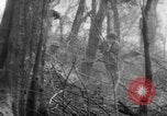 Image troupes françaises Dien Bien Phu Vietnam, 1954, de la seconde 36 séquences d'archives historiques vidéo 65675045460