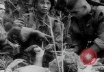 Image troupes françaises Dien Bien Phu Vietnam, 1954, de la seconde 58 séquences d'archives historiques vidéo 65675045460