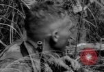 Image troupes françaises Dien Bien Phu Vietnam, 1954, de la seconde 60 séquences d'archives historiques vidéo 65675045460