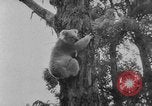 Immagine di Queen Elizabeth Australia, 1954, secondo 13 filmato di repertorio 65675045464