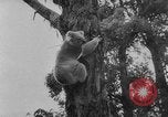Immagine di Queen Elizabeth Australia, 1954, secondo 15 filmato di repertorio 65675045464