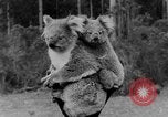 Immagine di Queen Elizabeth Australia, 1954, secondo 26 filmato di repertorio 65675045464