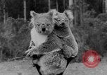 Immagine di Queen Elizabeth Australia, 1954, secondo 27 filmato di repertorio 65675045464